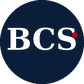 Brielle Consulting